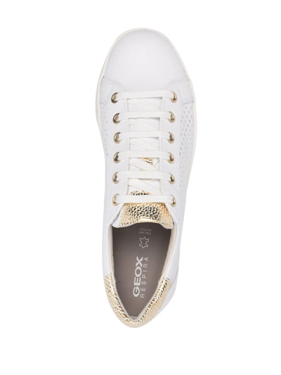 Geox Jaysen Low-top Sneakers In Weiss