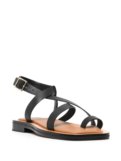 Shop A.emery Ankle-buckle Strap Sandals In Black