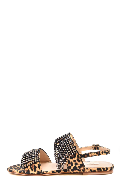 Shop Polly Plume Sandals In Fantasy