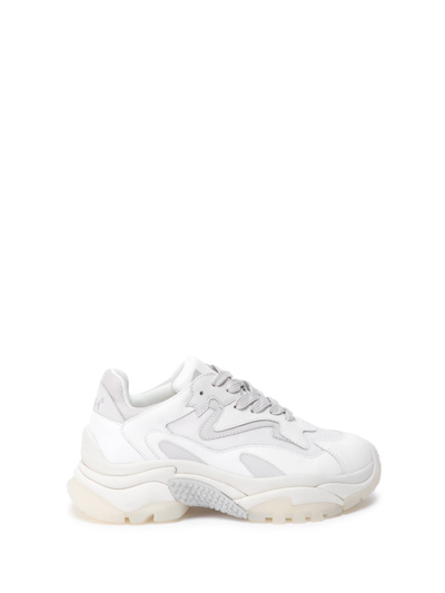 Shop Ash `addict` Sneakers In Bianco