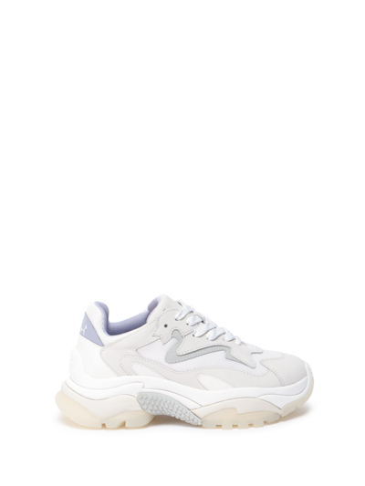 Shop Ash `addict` Sneakers In Bianco