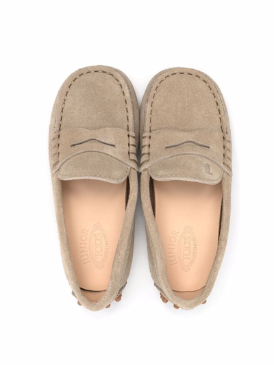 Shop Tod's Suede Penny Mocassins In Neutrals