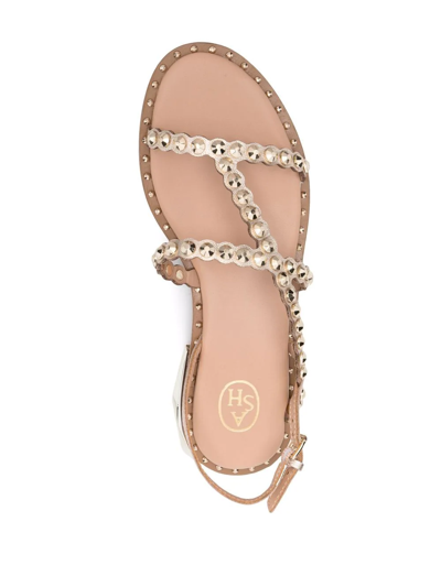 Shop Ash Paola Studded Sandals In Neutrals