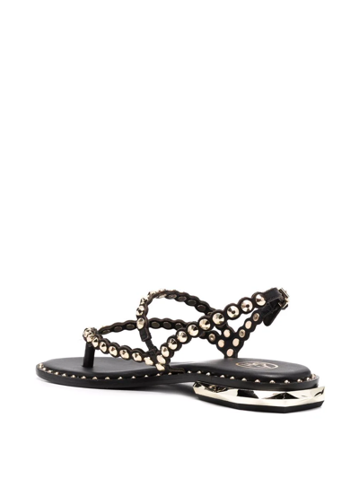 Ash Leather Flat Sandals With Gold Studs In Nero | ModeSens