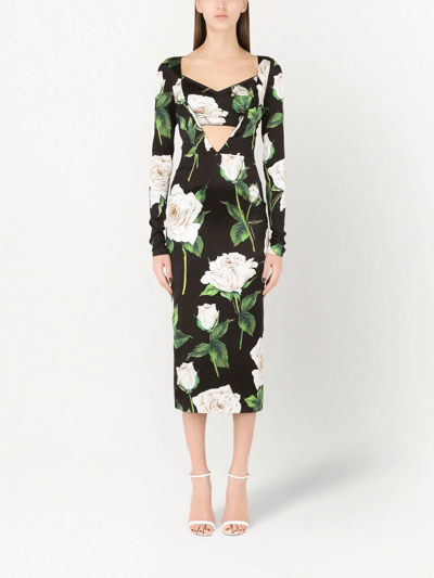 Shop Dolce & Gabbana Rose Print Cut-out Midi Dress In Black