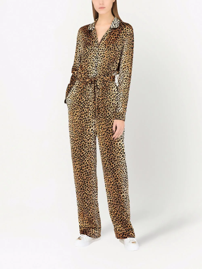 Shop Dolce & Gabbana Silk-blend Leopard Print Jumpsuit In Gold