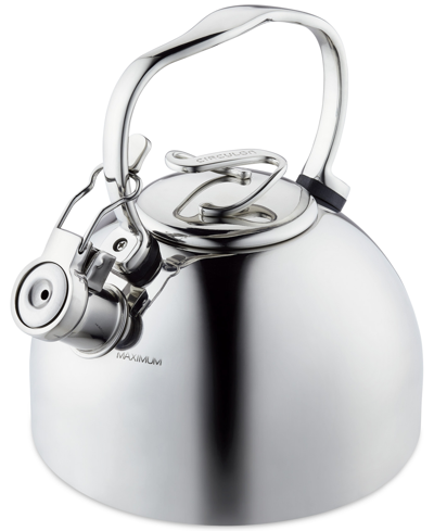 Circulon Stainless Steel 2-qt. Whistling Teakettle With Flip-up Spout In Stainless Steel