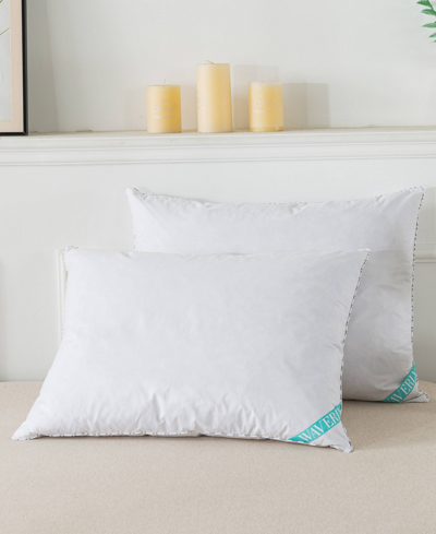 Shop St. James Home Nano Feather 2-piece Pillow Set, Queen In White
