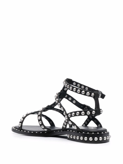 Shop Ash Sandals Black