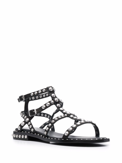 Shop Ash Sandals Black