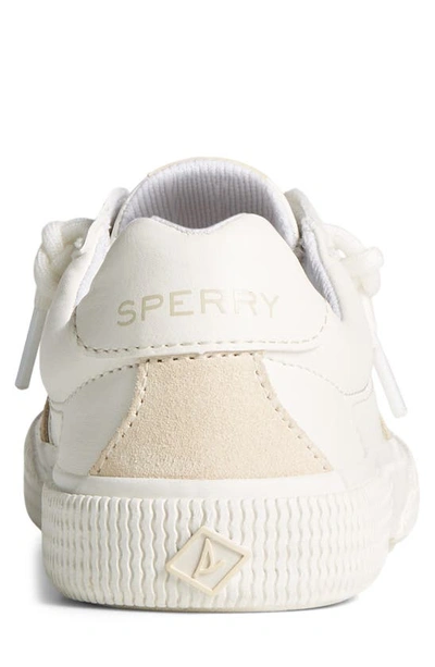 Shop Sperry Top-sider Pier Wave Refresh Sneaker In White