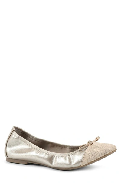 Shop White Mountain Sunnyside Ii Ballet Flat In Ant Gold/ Multi