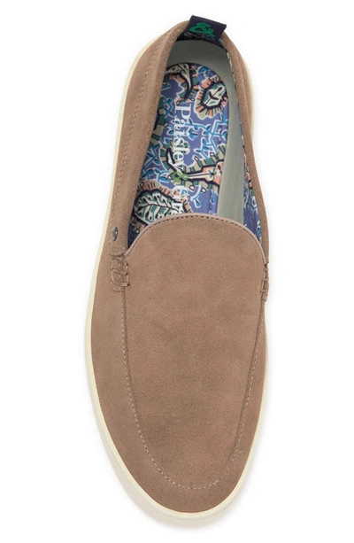Paisley & Gray Street Style Slip-on Sneaker In Latte Suede