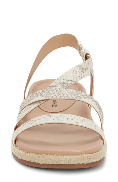 Shop Lucky Brand Darli Slingback Sandal In Stucco Leather