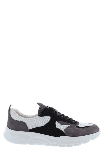 Shop English Laundry Gerald Lace-up Sneaker In Black