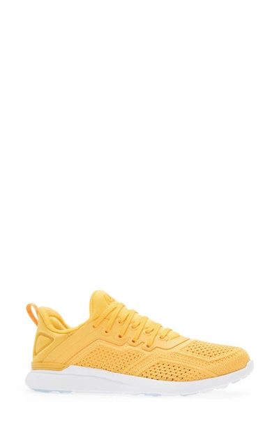 Shop Apl Athletic Propulsion Labs Techloom Tracer Knit Training Shoe In Mango / White