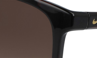 Nike Passage 55mm Square Sunglasses In Tortoise/ Brown Gradient