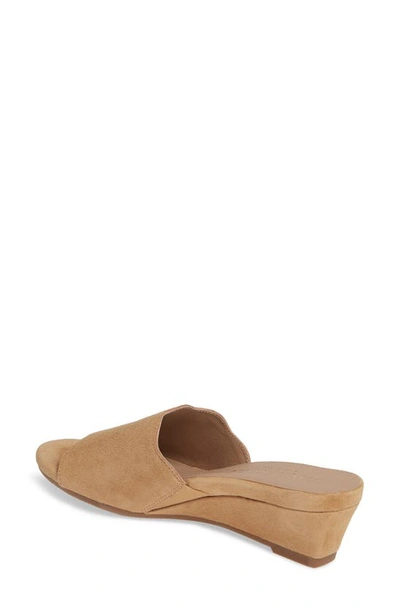 Shop Bettye Muller Seema Suede Wedge Mule In Tan Suede