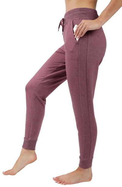 Shop 90 Degree By Reflex Terry Brushed Inside Joggers In Spiced Apple