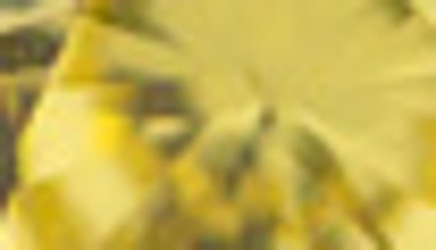 Cz By Kenneth Jay Lane Round Cz Stud Earrings In Yellow/silver