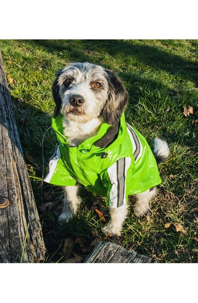 Shop Petkit Pet Life® Reflecta-glow Adjustable And Reflective Dog Raincoat In Green