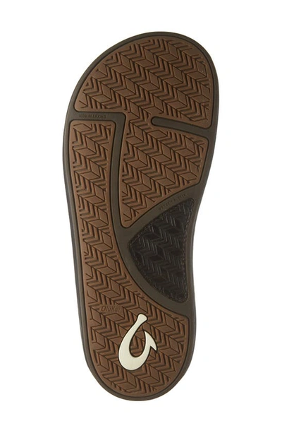 Shop Olukai Ilikai Flip Flop In Dk Wood / Dk Wood