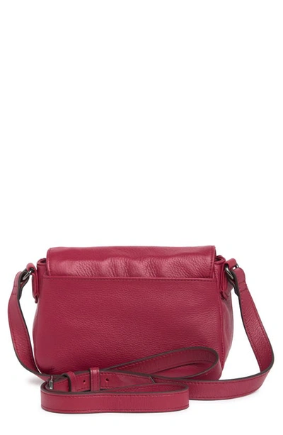 Shop Aimee Kestenberg Sorrento Leather Crossbody Bag In Red Scarlet