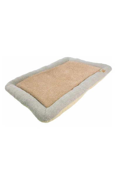 Shop Petkit Pet Kit® Designer Dog Bed