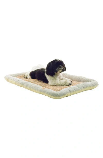 Shop Petkit Pet Kit® Designer Dog Bed