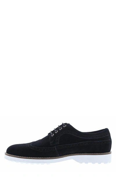 Zanzara Tiki Brogue Derby In Black