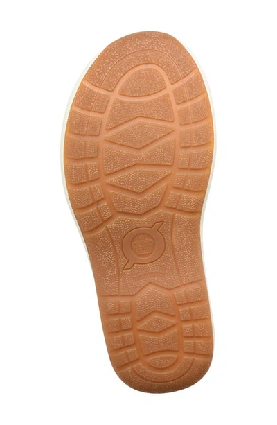 Shop Born Corvo Flip Flop In Grey