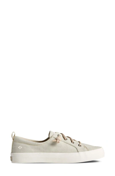 Shop Sperry Crest Vibe Sneaker In Cement