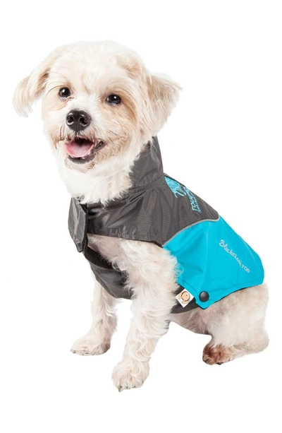 Shop Pet Life Touchdog Subzero-storm Waterproof 3m Reflective Dog Coat In Sky Blue And Black