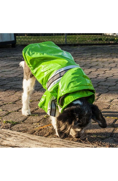 Shop Pet Life Reflecta-glow Adjustable And Reflective Dog Raincoat In Green