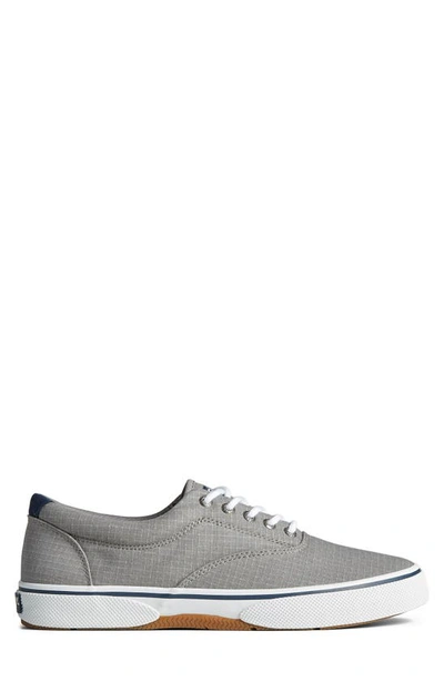 Shop Sperry Top-sider Halyard Ripstop Sneaker In Grey