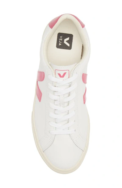 Shop Veja Esplar Sneaker In Extra White Mia