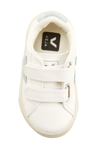 Shop Veja Esplar Sneaker In Extra White Matcha