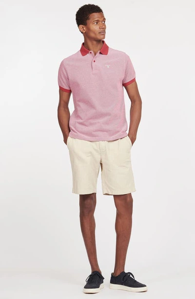 Shop Barbour Sports Cotton Polo In Raspberry