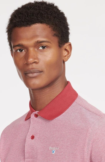 Shop Barbour Sports Cotton Polo In Raspberry