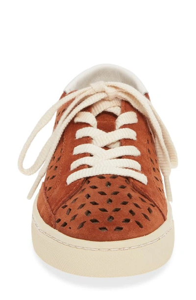 Shop Soludos Ibiza Perforated Sneaker In Adobe