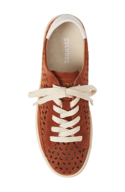 Shop Soludos Ibiza Perforated Sneaker In Adobe