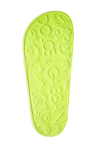 Shop Dolce & Gabbana Logo Slide Sandal In Fluorescent Yellow