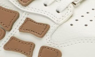 Shop Amiri Skel Top-low Sneaker In 126 - White / Brown