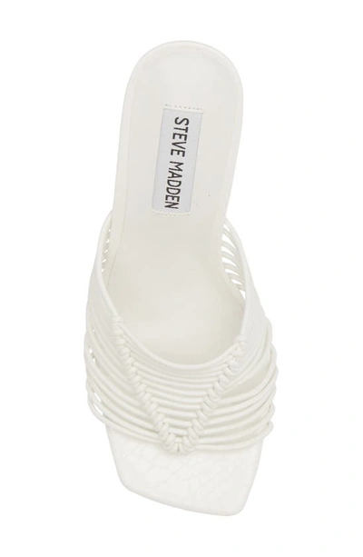 Shop Steve Madden Bonds Sandal In White