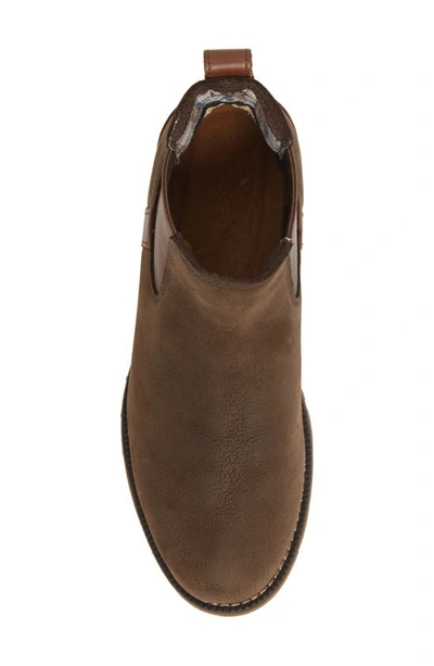 Ariat Wexford Waterproof Chelsea Boot In Java Leather