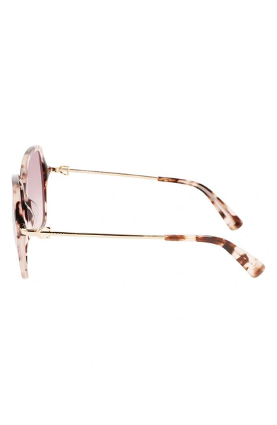 Longchamp 57mm Amazone Modified Rectangle Sunglasses In Rose Havana
