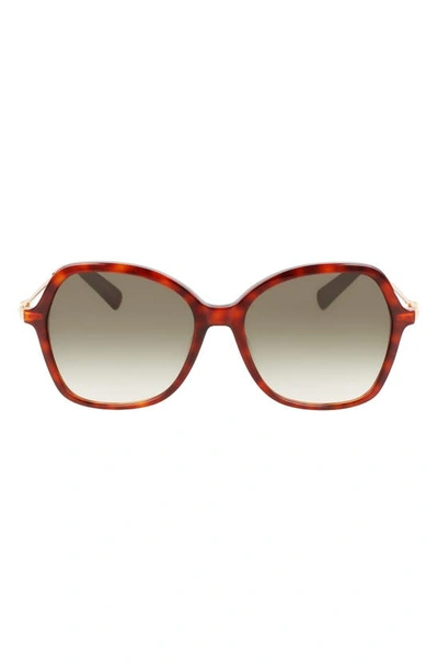 Shop Longchamp 57mm Amazone Modified Rectangle Sunglasses In Havana