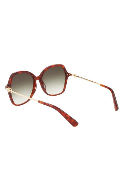 Longchamp 57mm Amazone Modified Rectangle Sunglasses In Havana
