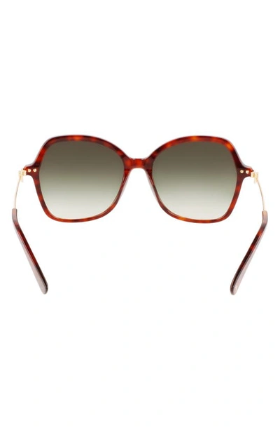Longchamp 57mm Amazone Modified Rectangle Sunglasses In Havana