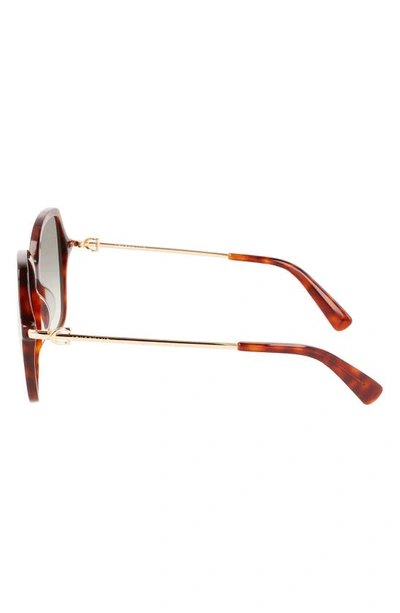 Longchamp 57mm Amazone Modified Rectangle Sunglasses In Havana